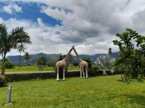 Garden, Cate Hotel Morogoro in Morogoro