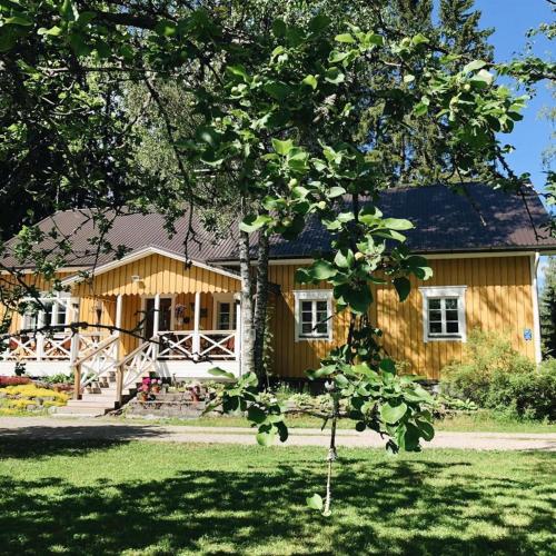 Ollilan tupa Joensuun lähellä - Accommodation - Ylämylly