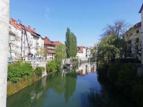 A környék, Lovely 2-bedroom appartment with free parking in Brezovica Pri Ljubljani