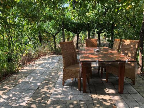 Szendergo - Apartman Hajos pincefalu in Hajós