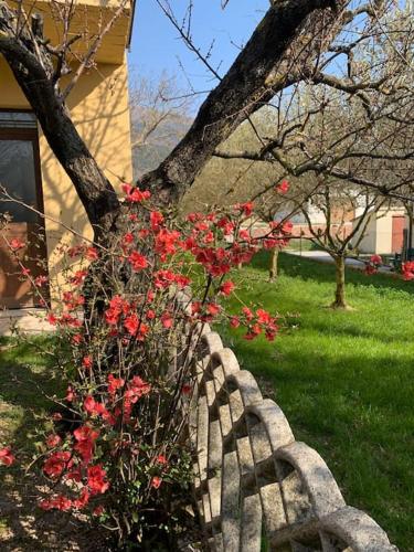 Gubbio-Gualdo Tadino Incantevole mansarda con terrazza