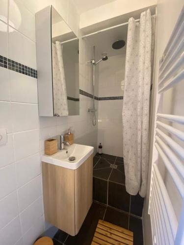 Bathroom, Magnifique appartement T2 aux portes de Paris in Cachan