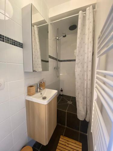 Душ, Magnifique appartement T2 aux portes de Paris in Качан