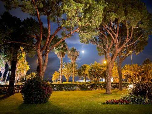 Beachfront apartment on the boulevard with sea view - Apartment - Cannes