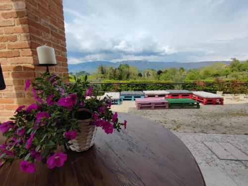 Agriturismo Norah's Hill
