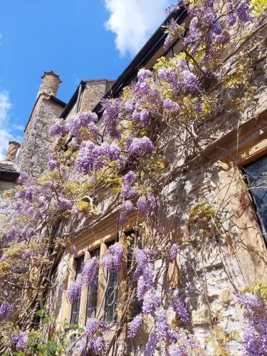 The Manor House, Curry Mallet