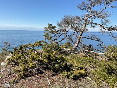 Högklint by the Sea Apartment