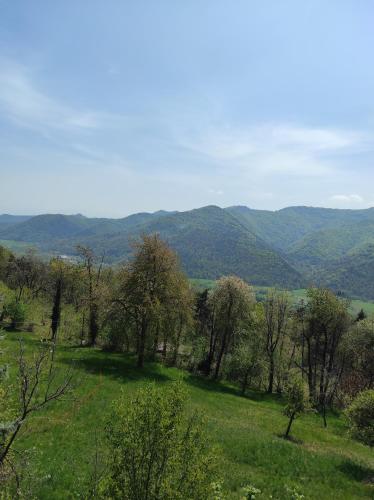 Skats, Locazione turistica aquila bianca in Roccabruna