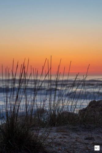 La Olteanu La Olteanu