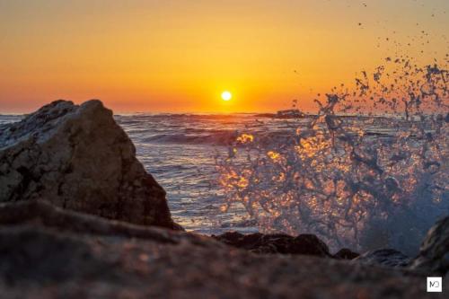 La Olteanu La Olteanu