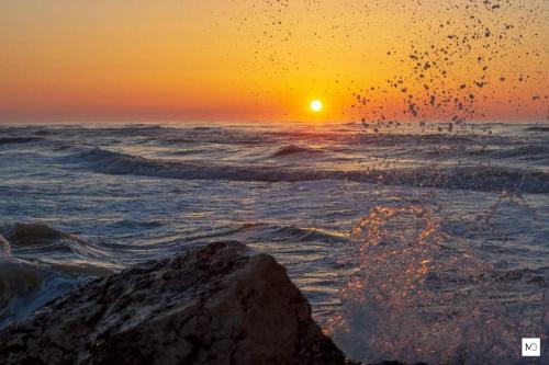 La Olteanu La Olteanu