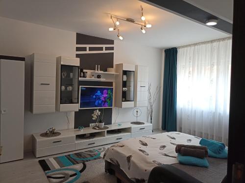 Apartament Sofy2 - image 13