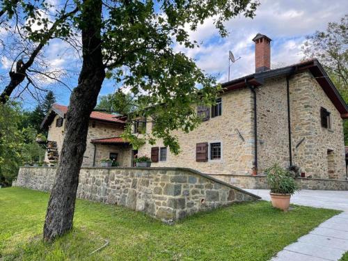 Il paradiso delle beccacce