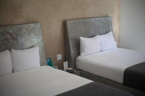 Hotel Casa Tota in Todos Santos, Mexico