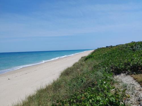 Melbourne Beach Florida Townhouse ocean front 1.2 acre property