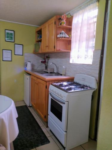 Kitchen, Spiceisle Mint Tiny Living in The Lime