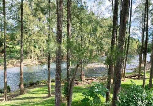 Birdsong Bellingen Farm