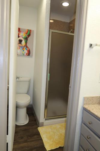 Houston Medical Center 2BR Loft with Pool near NRG Stadium in Houston, USA