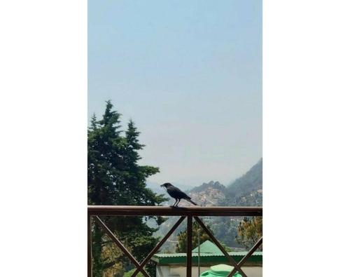 Whistling Thrush Cottage, Bhimtal (2bhk)