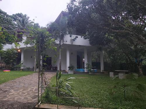 Green olive villa