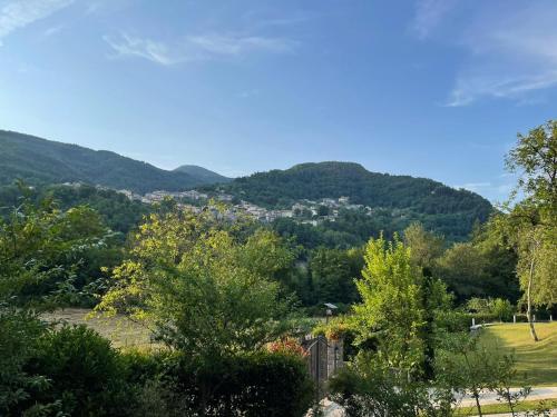 Il paradiso delle beccacce
