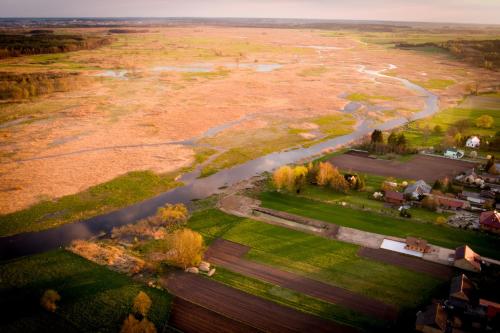Sosnowy domek w rezerwacie nad Narwią