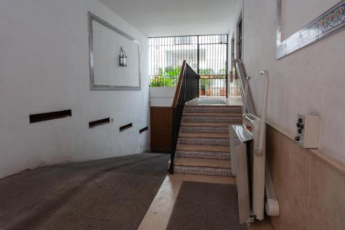 One-Bedroom Apartment image 8