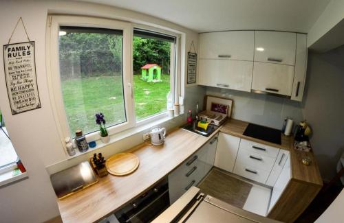 廚房, Kuća za odmor David-privatni bazen (Kuca za odmor David-privatni bazen) in 下斯圖比察