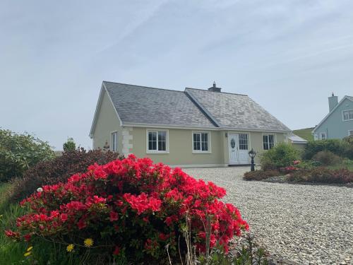 Joe's Place, Central Location West Cork near Clonakilty - Middle Ring