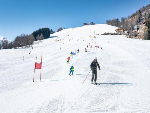 Holiday home in Niedernsill near ski area - Location saisonnière - Niedernsill