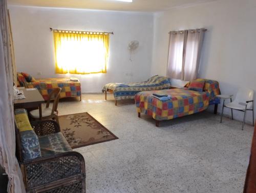 B&B at Palestinian home / Beit Sahour, Bethlehem (zdjęcie 6)