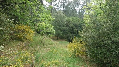 "Clair de Lune" Gîte avec 6000 m2 de terrain clos et arboré