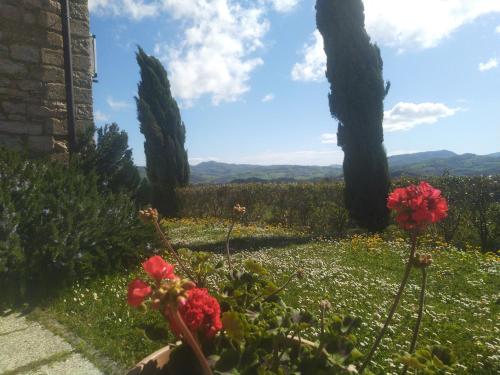  Villa Colticciola Agriturismo Marche in Cagli