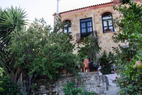 Cretan Village House elborgini