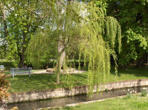 Foto - Logis - Hôtel & Restaurant Moulin Des Forges