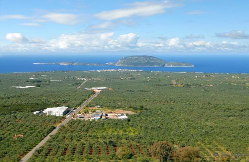 ΤΕΛΛΟΣ ΑΓΡΑΣ, Gargaliánoi (foto 10)
