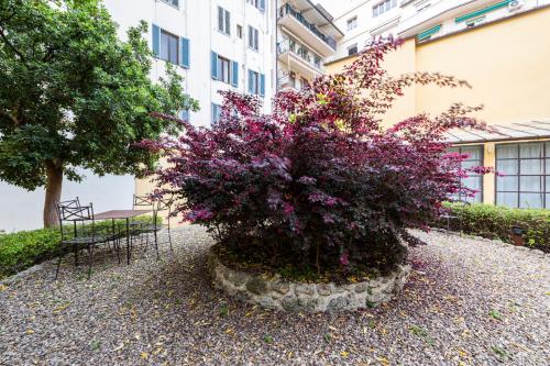 Apartments Florence - Dragomanni Loft with patio 2
