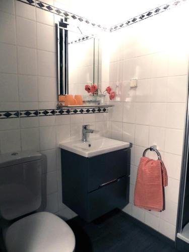 Bathroom, Ferienwohnung Bibert in Michelstadt