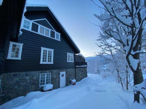 Dreamcastle - Apartment - Kyrkjebøen