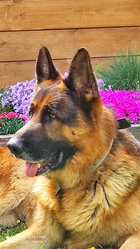  B&B La casina di Iris in Arezzo