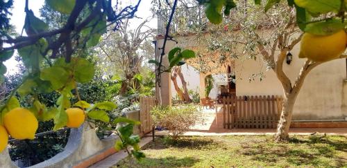 L'ALBA gîte à louer Aci Trezza