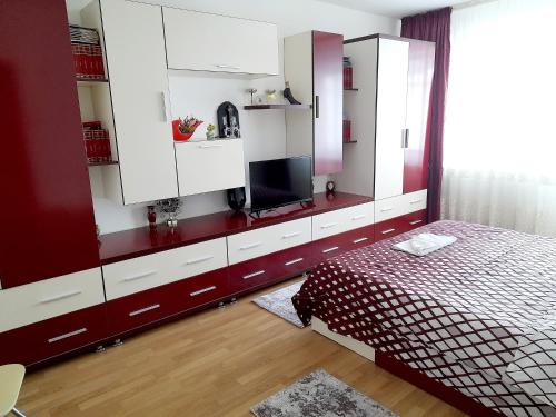 Apartament Alex - main image