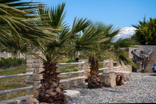 Golden Sky Villa - image 8
