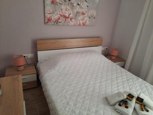 SummerSense Apartment