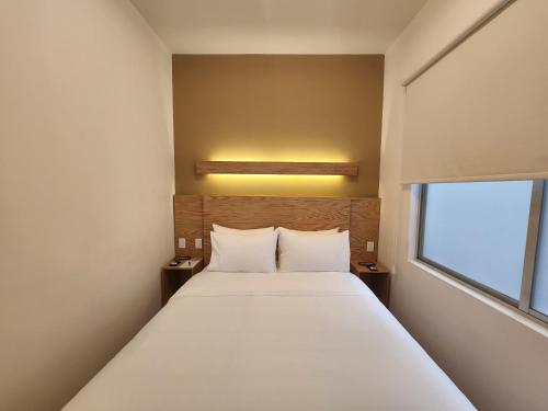 Cozy 3BR in Roma Norte