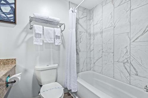 Lakeshore Hotel and Suites - image 11