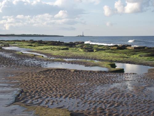 Beach, The Pines Guest House in North Tyneside