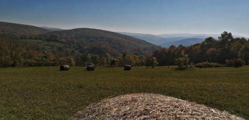 KalandFészek - image 10