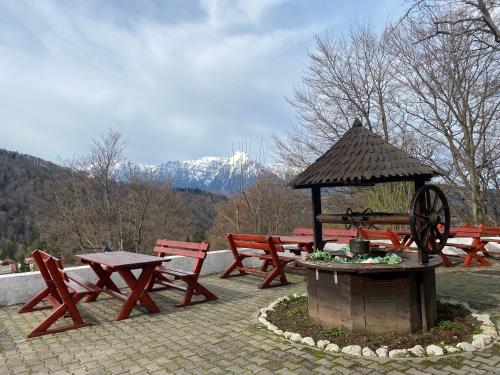 Cabana Trei Brazi - image 8