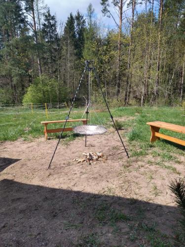 Dom pod Srebrnym Żurawiem Dom pod Srebrnym Żurawiem